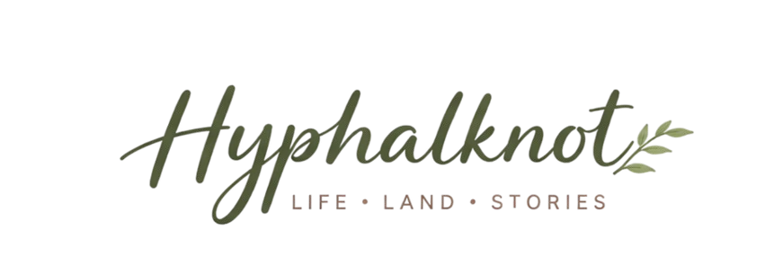Hyphalknot